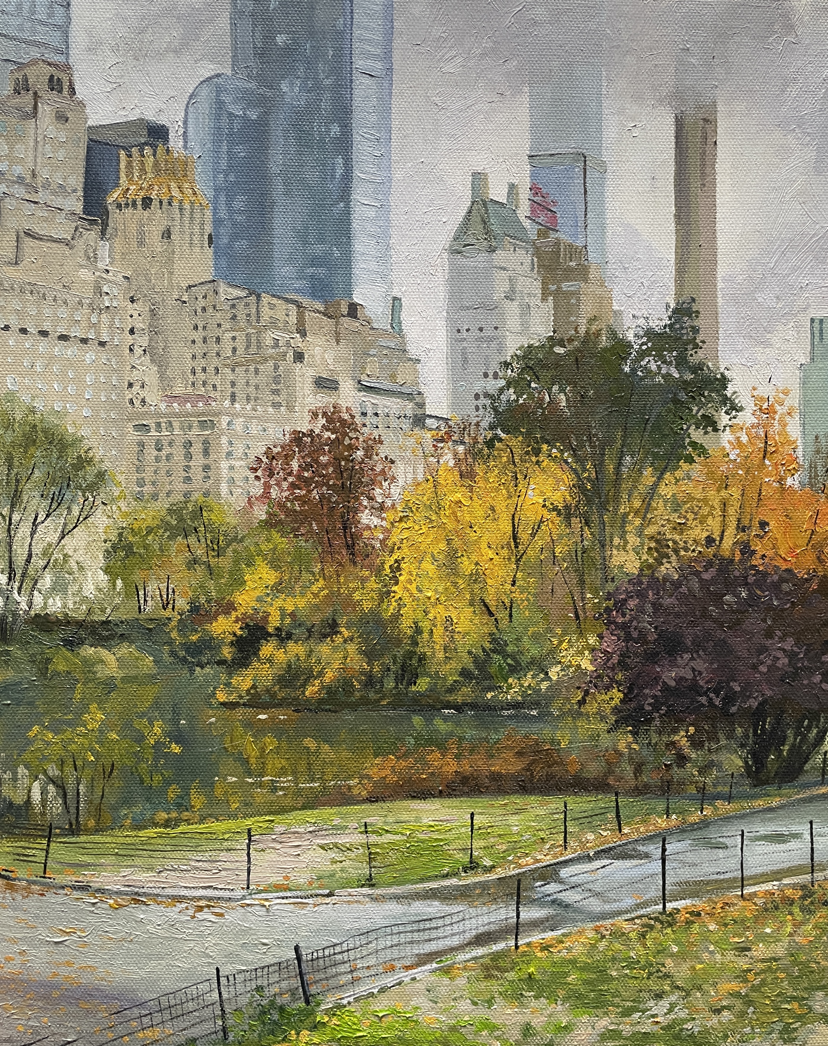 A rainy day in Central Park